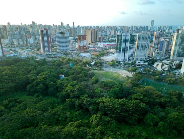 Qu'est-ce que la dentisterie pédiatrique à Mascouche ?
