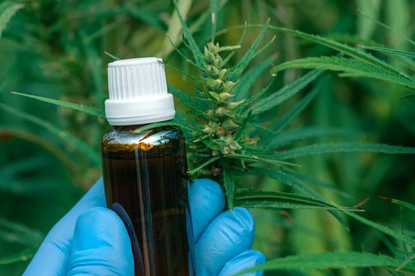 Quels sont les troubles traitables par le CBD ?