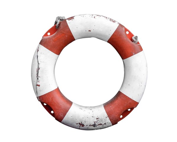 Comment les loisirs en plein air peuvent aider à préserver l'écosystème des vaquitas