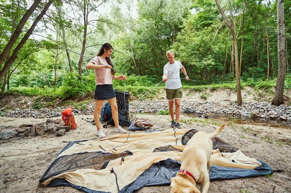 Découverte des meilleurs campings écologiques pour un séjour responsable