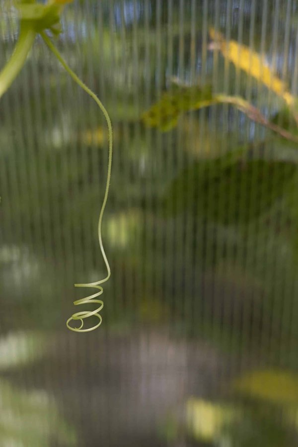 Quelles sont les clés pour réussir une adaptation cinématographique d'un roman populaire ?